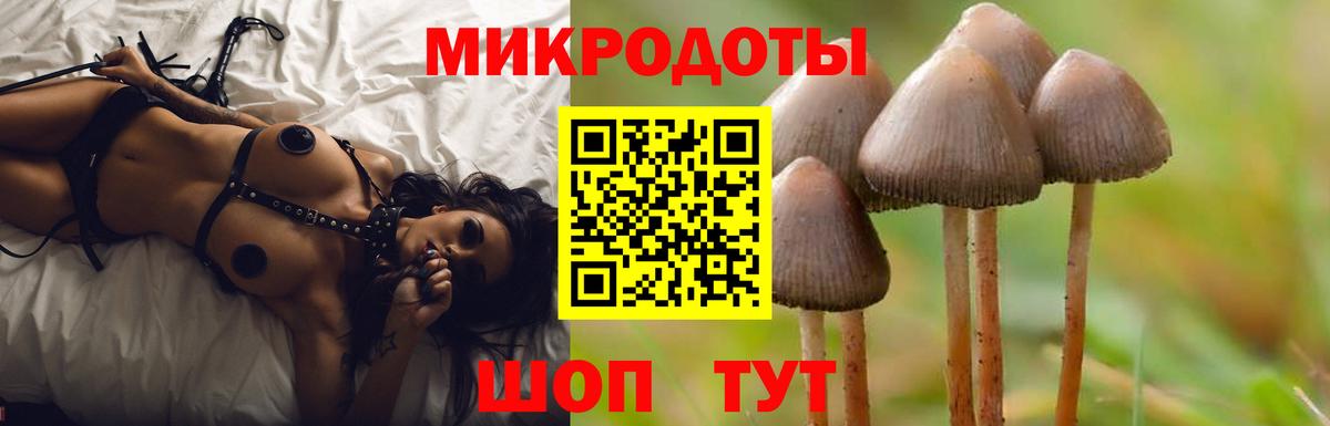 Псилоцибиновые грибы мухоморы Верхний Уфалей